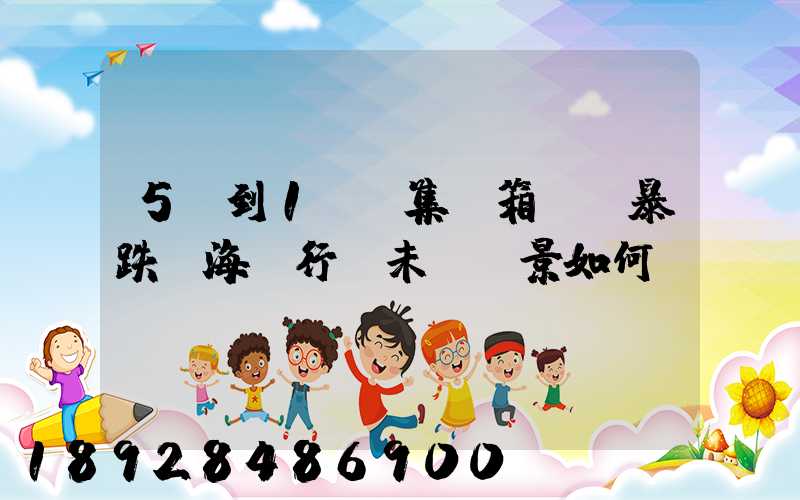 5萬到1萬,集裝箱運價暴跌,海運行業未來前景如何