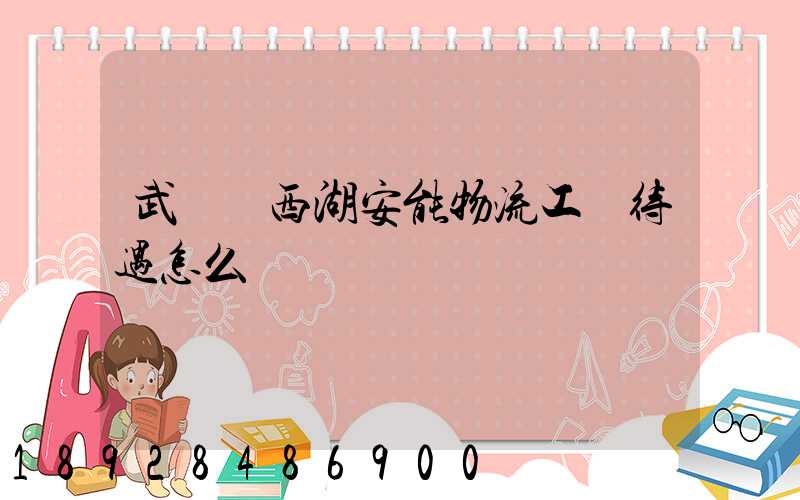 武漢東西湖安能物流工資待遇怎么樣